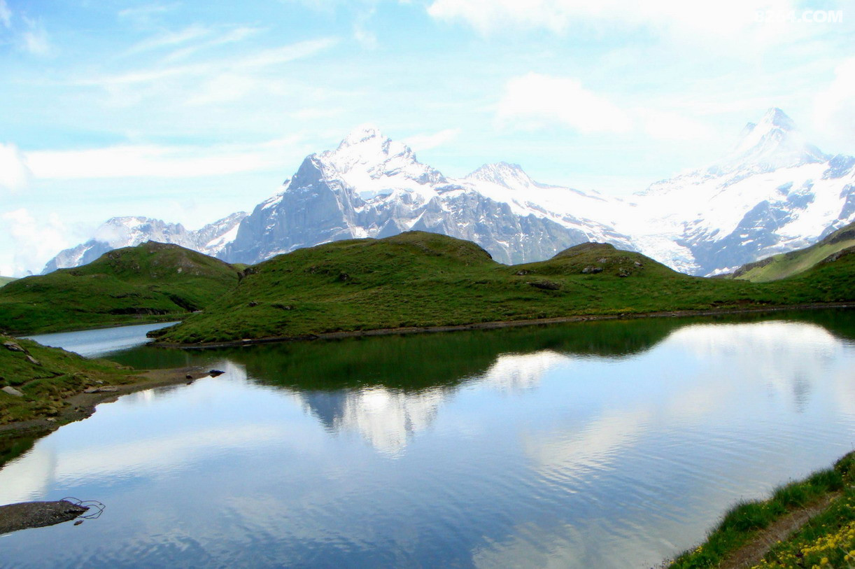 Bachalp����6.jpg