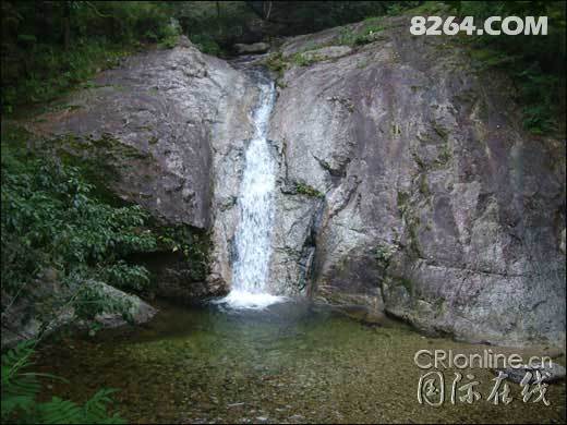 pa051025172.jpg