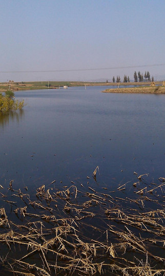 秦皇岛河北石岭水库垂钓
