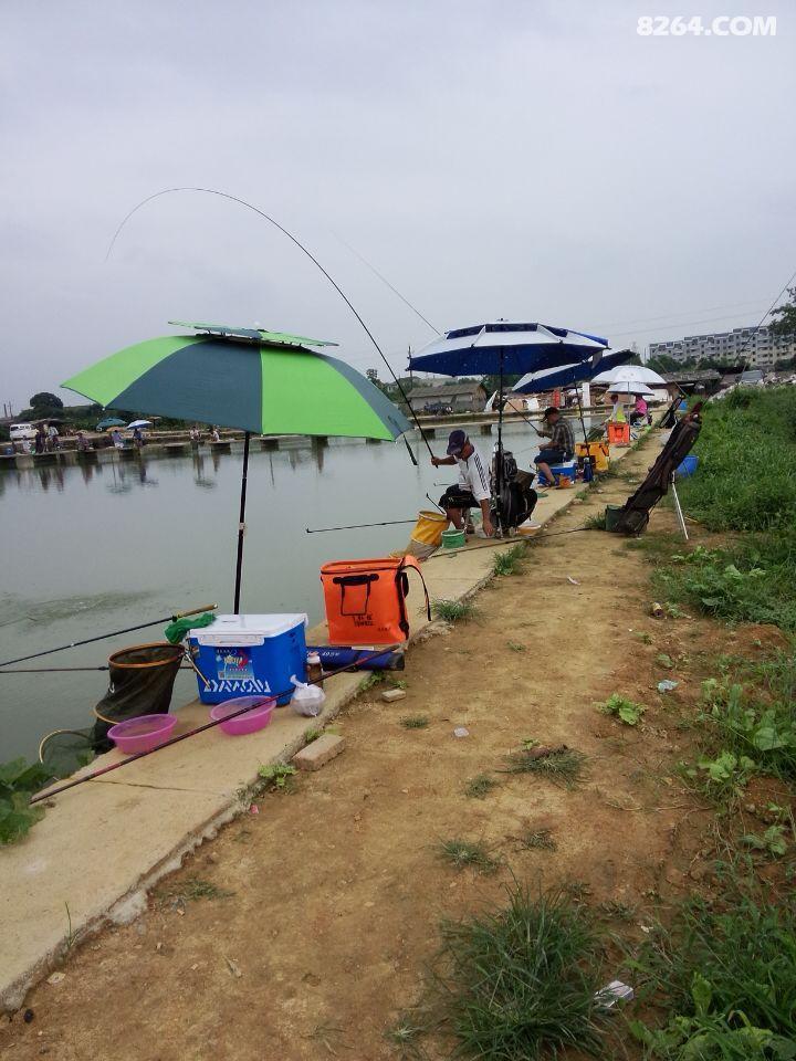长沙农科院台钓基地垂钓官网|地址|电话|怎么样-钓鱼场地点评 - 8264