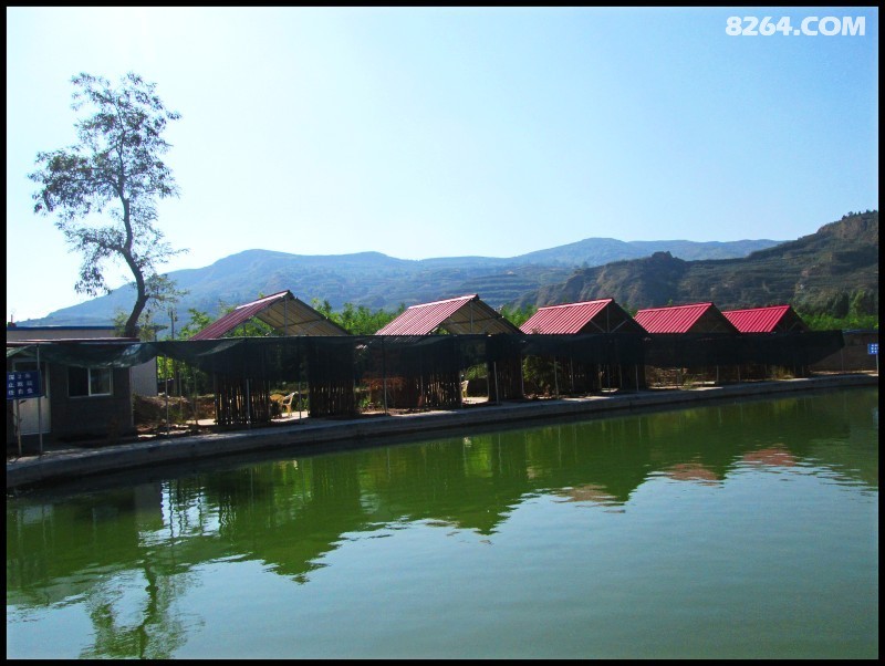 天水甘谷六峰恒顺山庄鱼塘垂钓