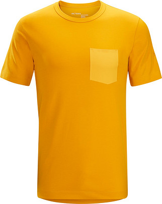 arcteryx anzo t shirt