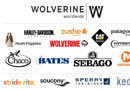 Wolverine�����������Ʊ� �����Բ�Ʒҵ������