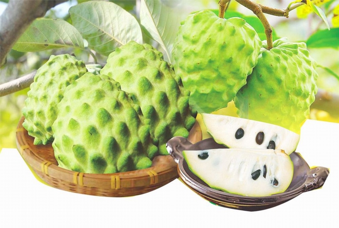 打着旅游的旗号,吃遍越南的热带水果