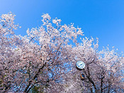 2018大阪游记攻略,大阪户外游记,大阪自助游线