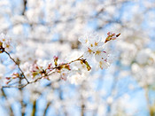 2018大阪游记攻略,大阪户外游记,大阪自助游线