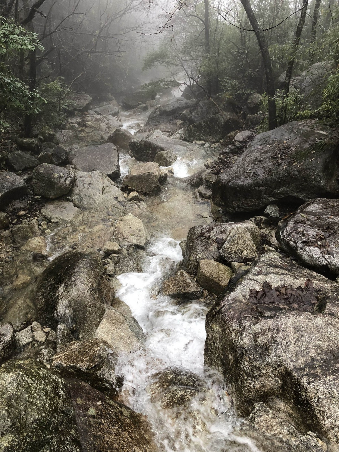 武功山不一样的全线穿越