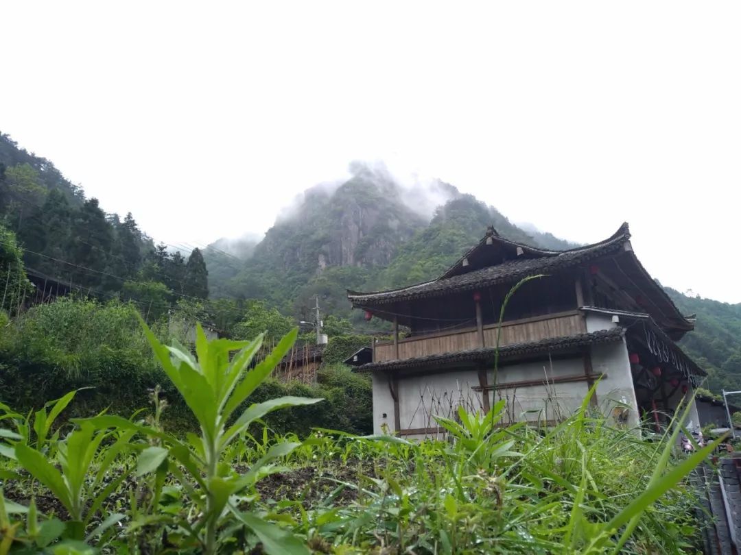 永嘉的西藏坑口村