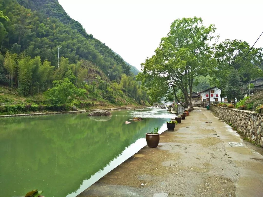 永嘉的西藏坑口村