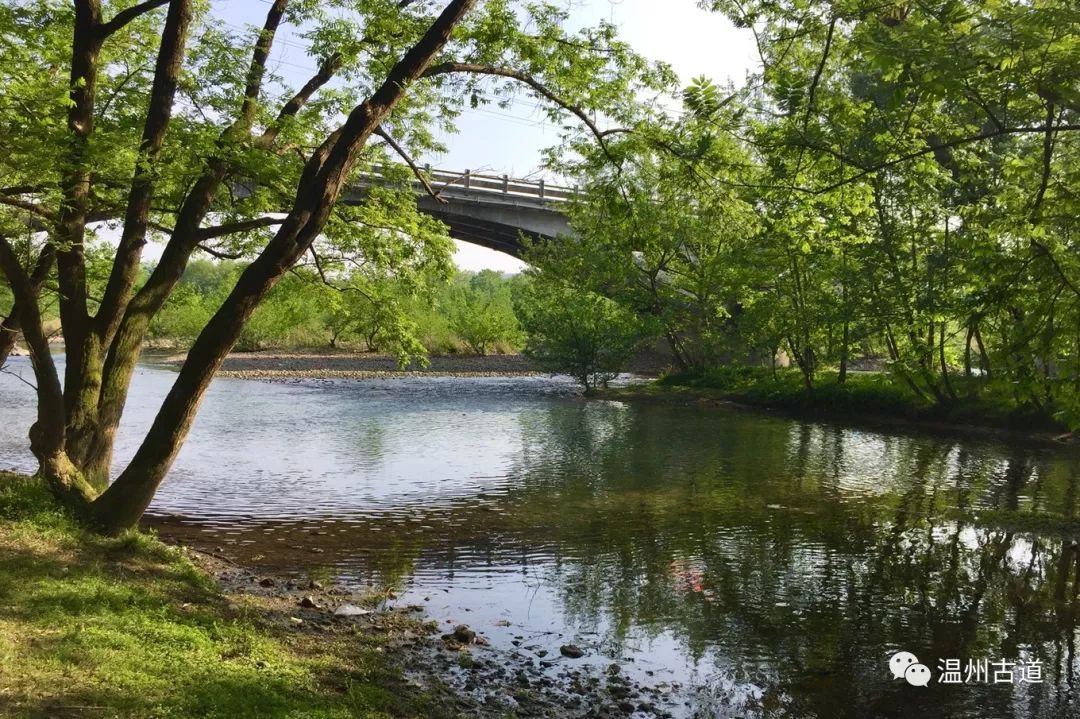 寻一处清净,享一日悠闲 —— 邂逅楠溪江绝美滩林