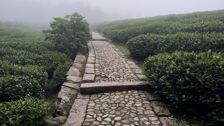 天台山古道徐霞客走过三次的地方必须来看看
