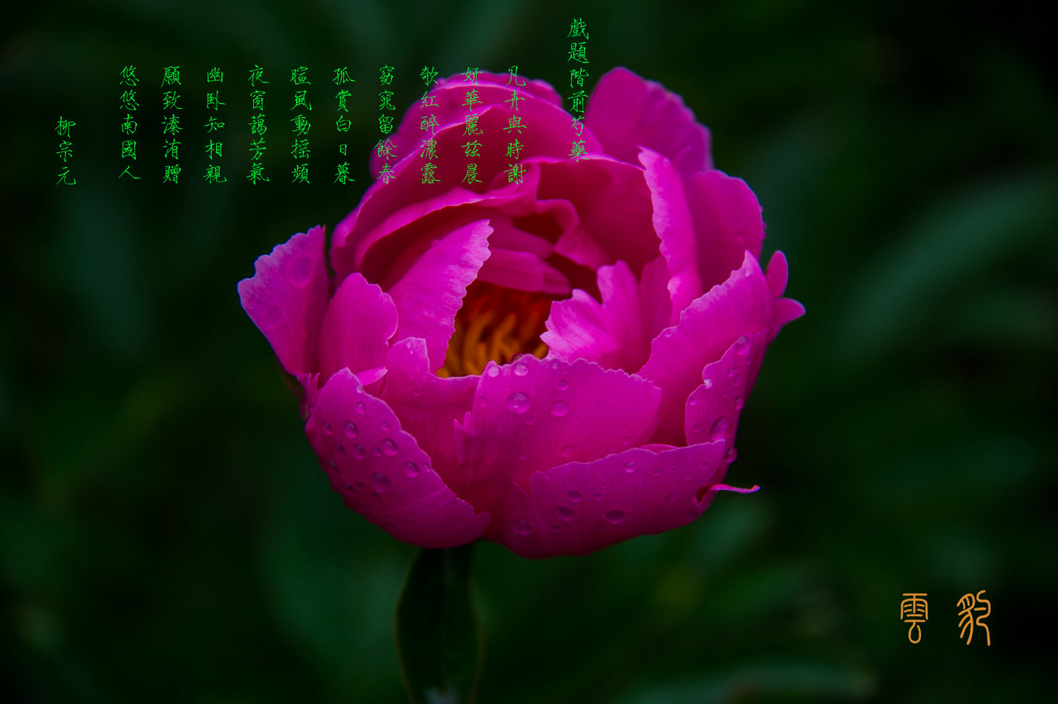 原创大美古蔺之情花有毒