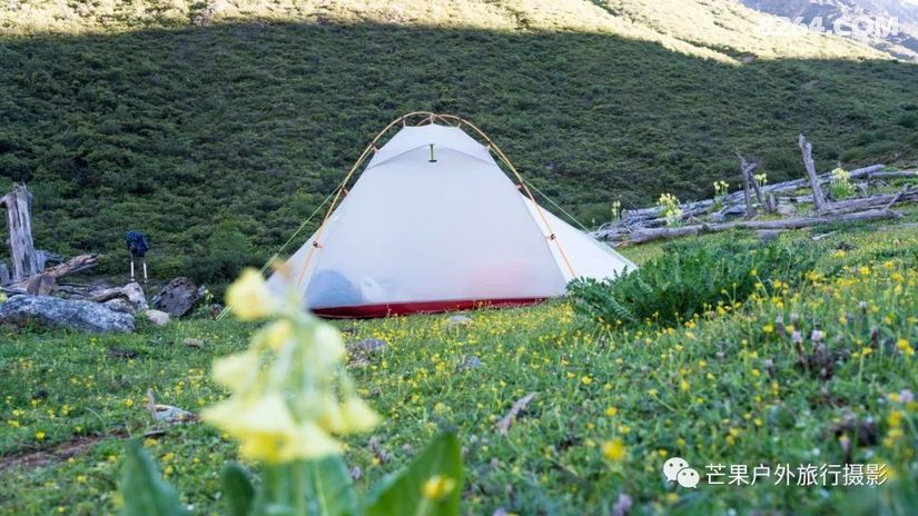 157218481358.jpg!t3w825h0