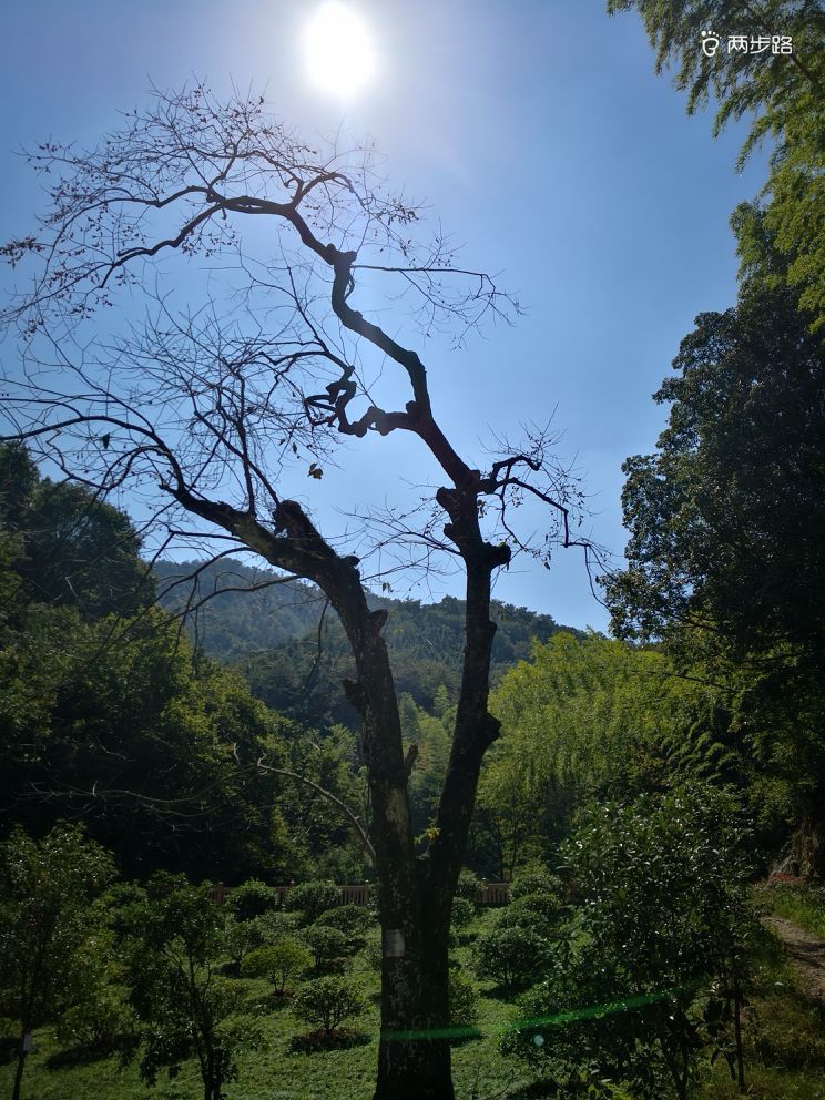 东阳西甑山西岘峰环线