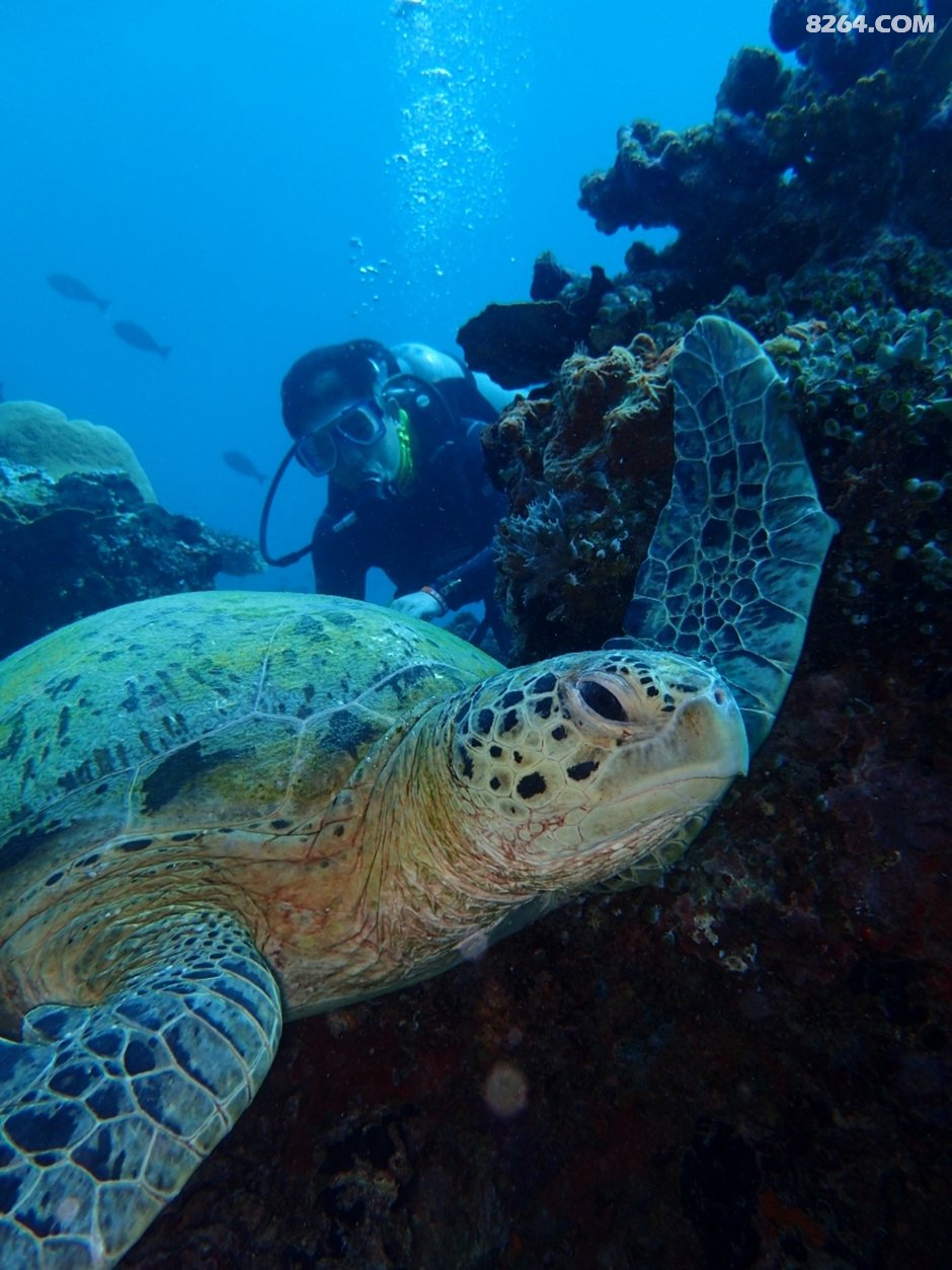 157907329826.jpg!t3w825h0