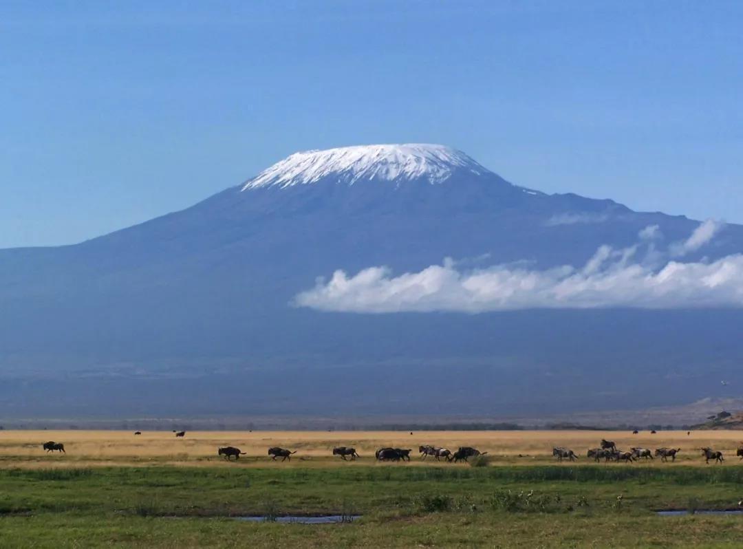 乞力马扎罗但愿有生之年你能见到她的美貌