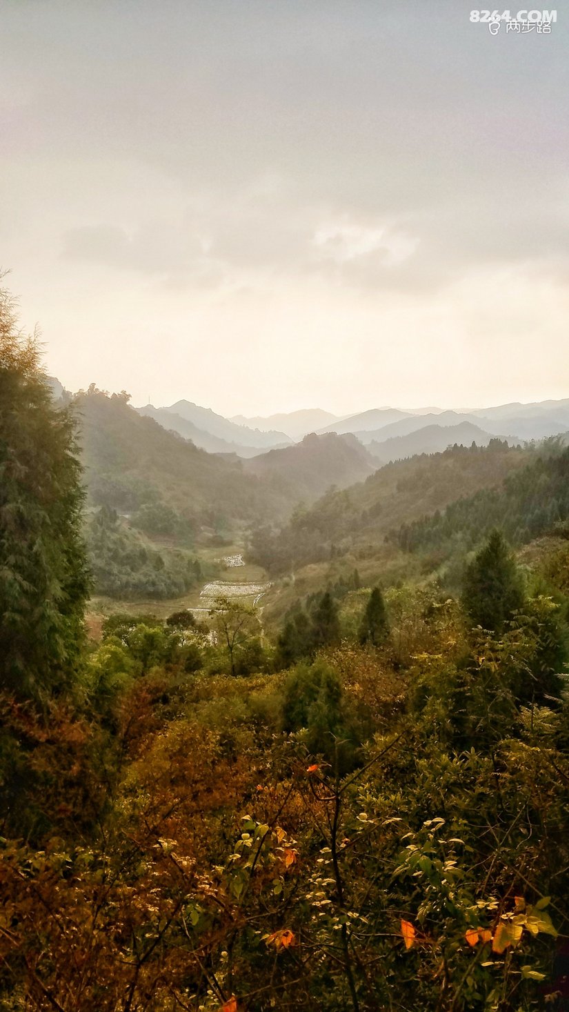 渝北东方红水库观音洞水库之行