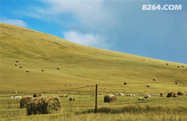 大连陆军学院永远的辉煌_大连陆军学院前身_大连陆军学院