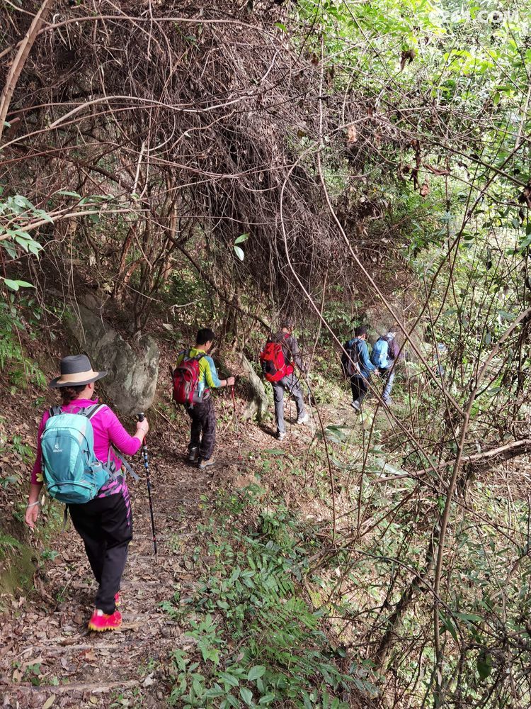 祁门牯牛降徒步踏秋
