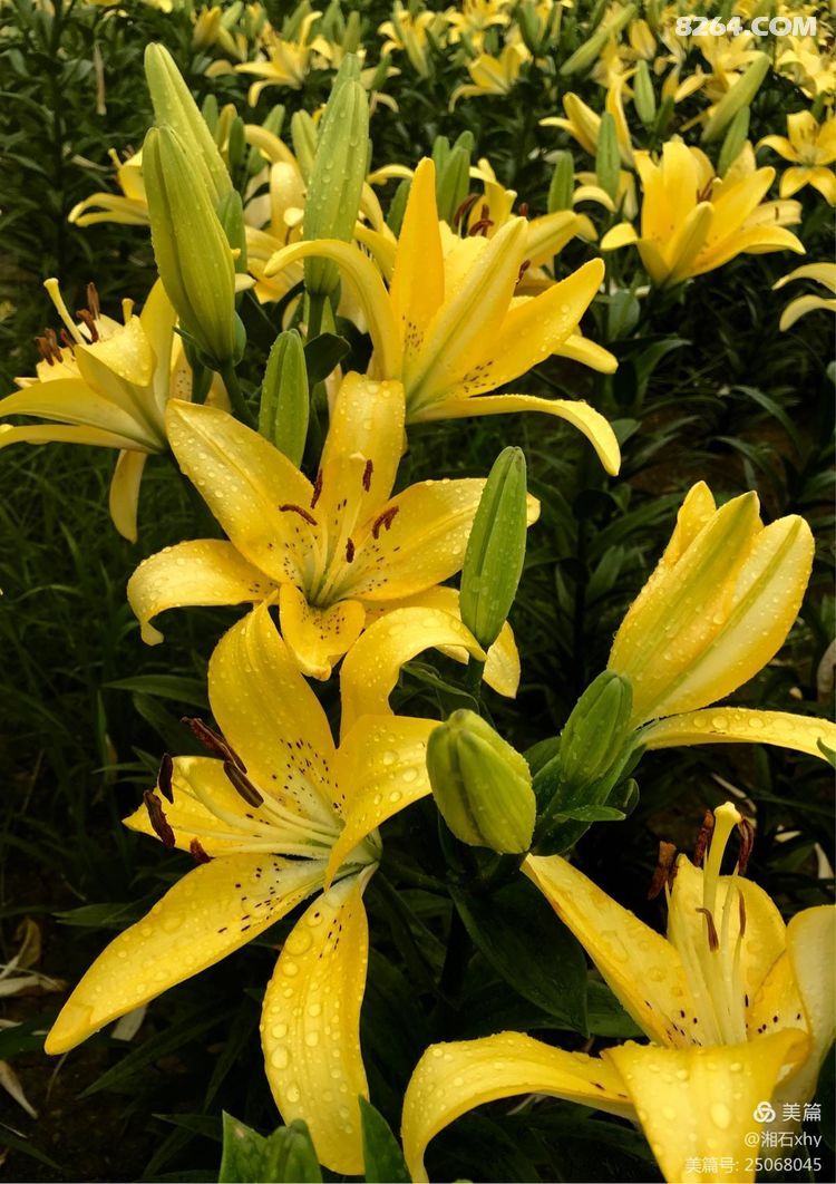 美丽乡村韶山银田寺韶山银河随拍