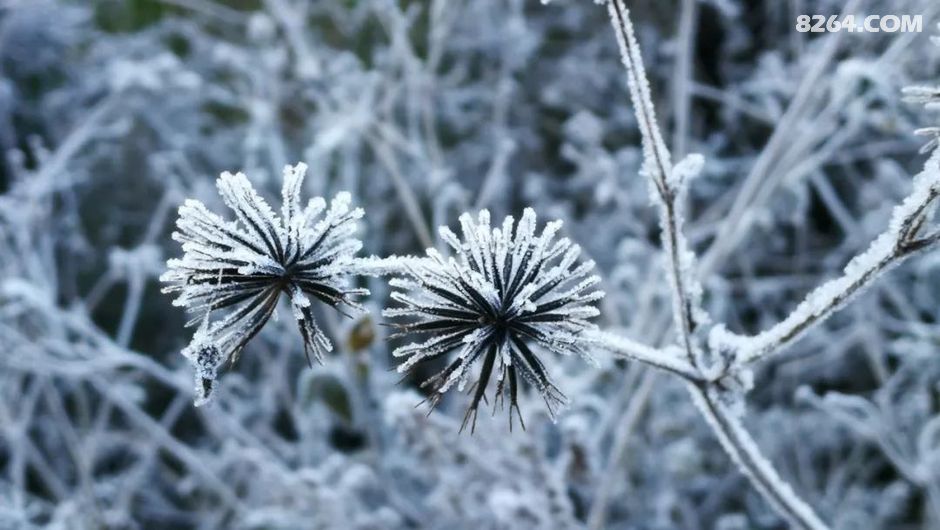 数九寒天徒步时