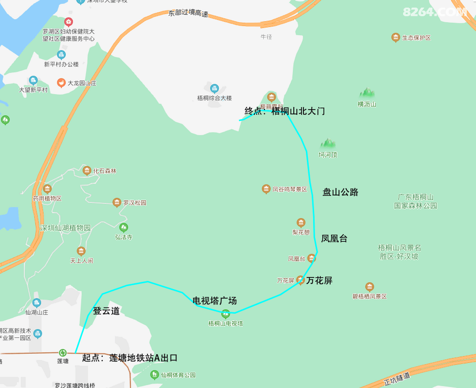 43号徒步梧桐山踏青赏花打卡万花屏毛锦杜鹃花海