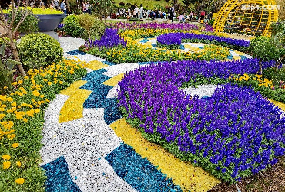 2021粤港澳大湾区花展深圳区