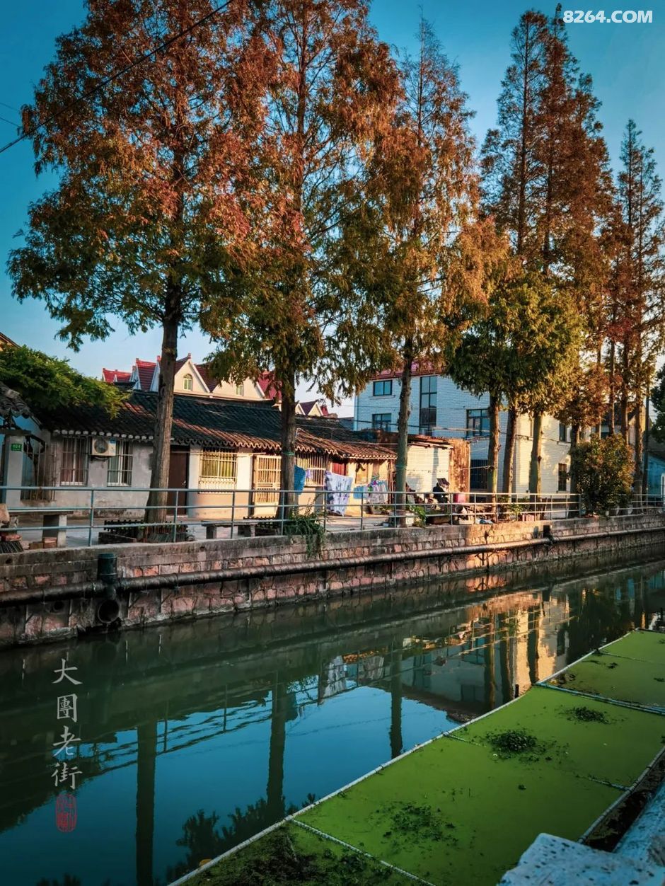 牛仔行摄寻访逐渐消失的上海老街南汇大团老街