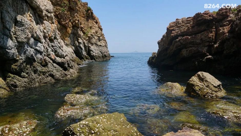 大连东海公园鳄鱼岛周边遛弯儿