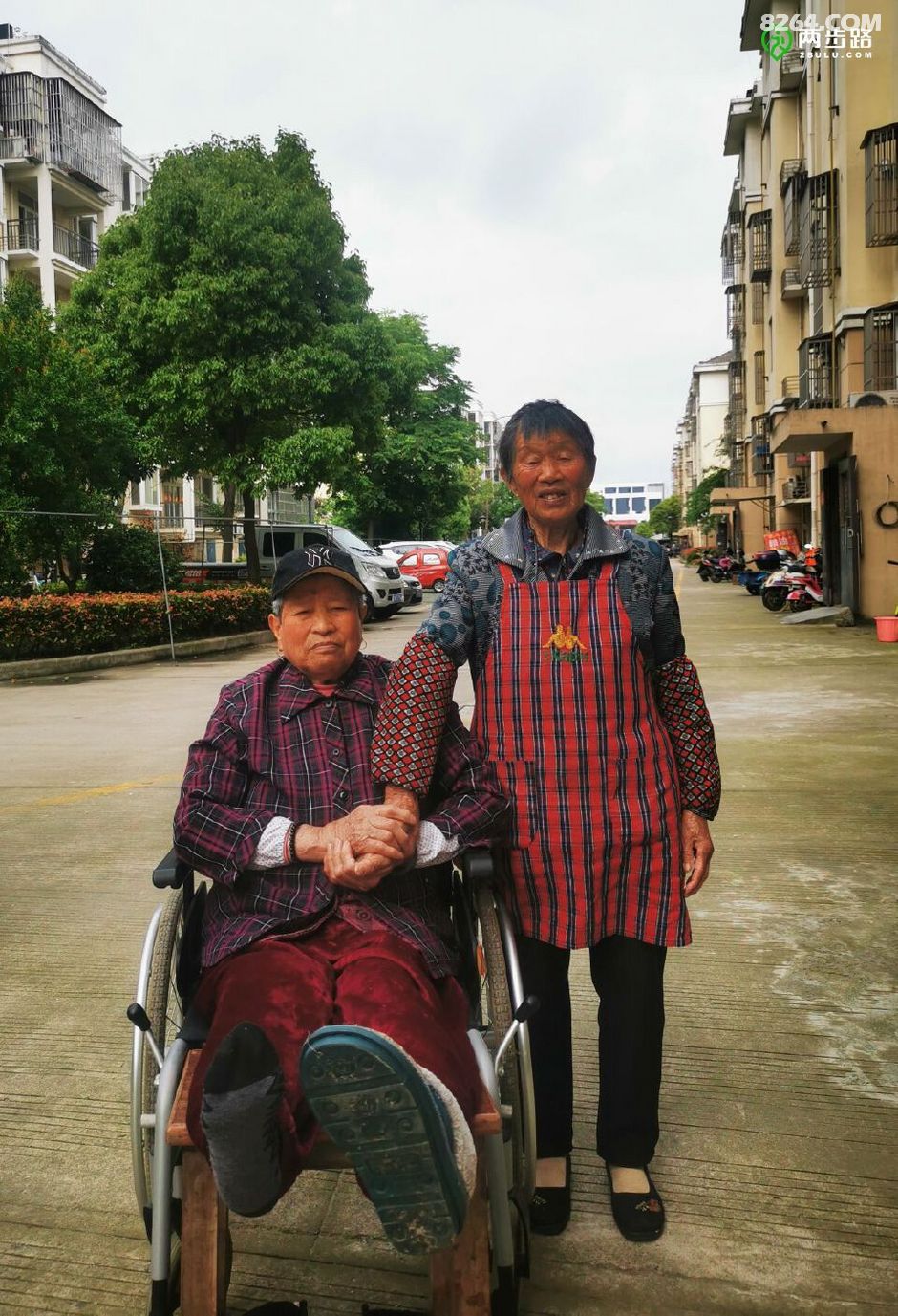 怎么推轮椅5.20  奔跑奔波奔驰都是爱（20210520）_https://www.jmylbn.com_新闻资讯_第13张