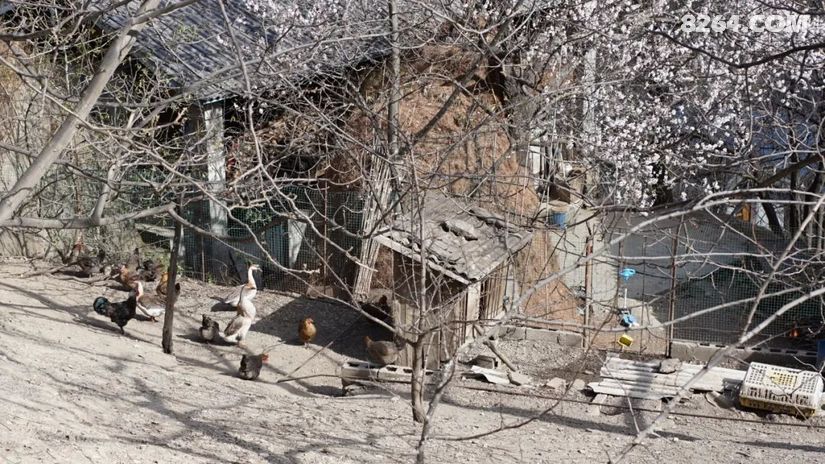1648606864379 - 徒步登山 穿越攀岩 雪山步道 户外路线 在野 去没有天花板的地方