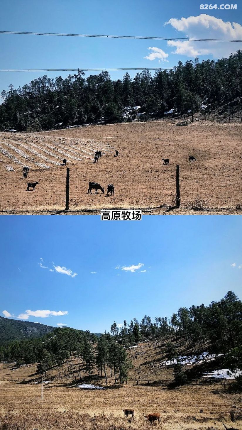 1651637445354 - 徒步登山 穿越攀岩 雪山步道 户外路线 在野 去没有天花板的地方
