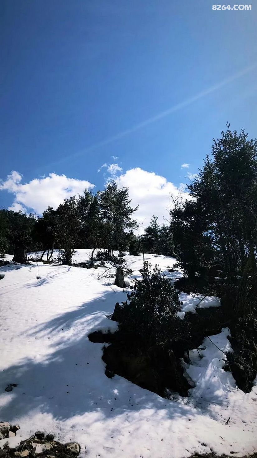 1651637446164 - 徒步登山 穿越攀岩 雪山步道 户外路线 在野 去没有天花板的地方
