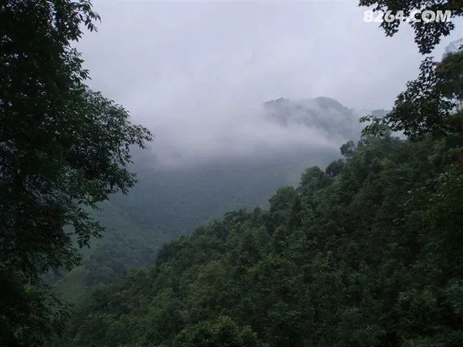 1683270931374.jpg!t3w825h0