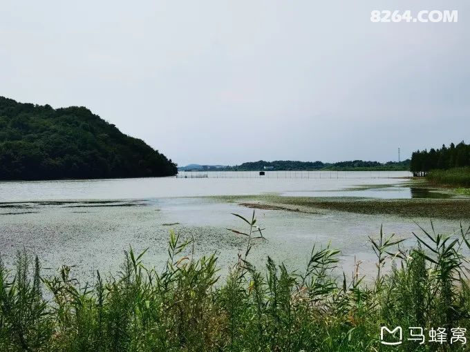 庐江县矾山镇和罗河镇游记