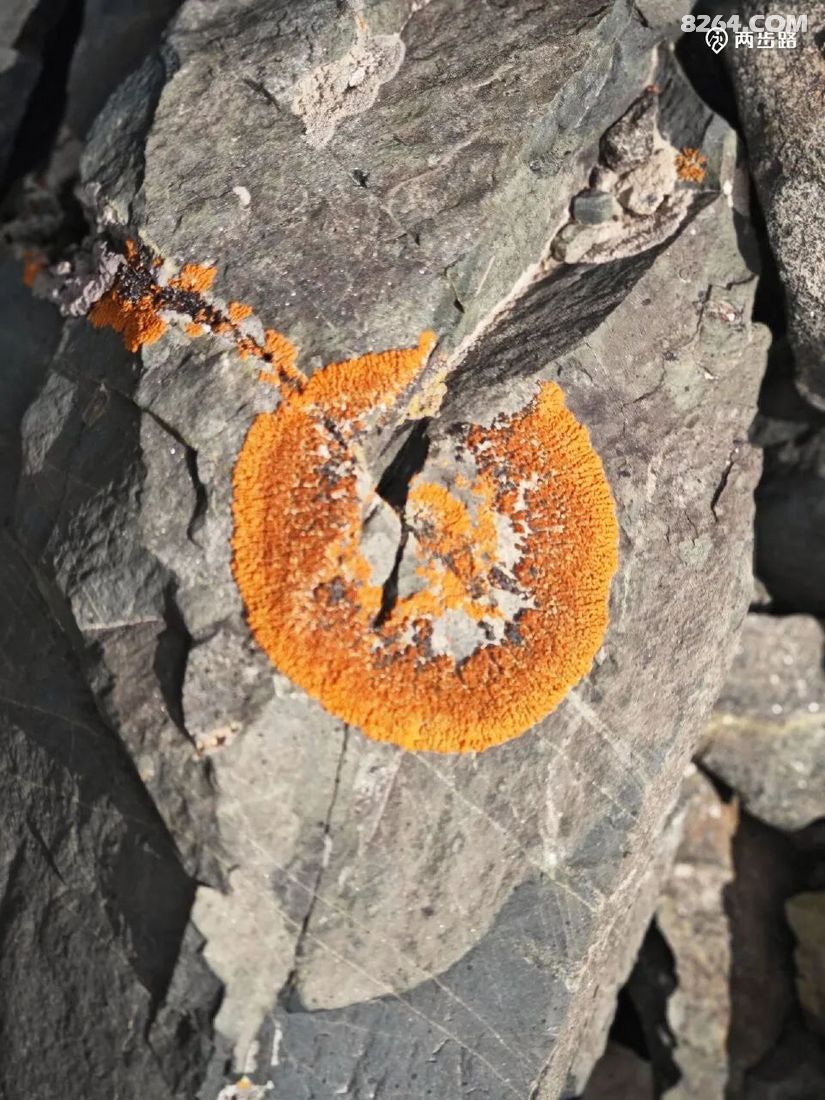 1752647979992 - 徒步登山 穿越攀岩 雪山步道 户外路线 在野 去没有天花板的地方