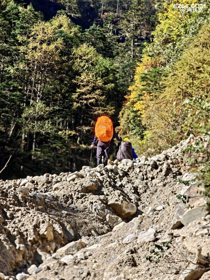 1763348374407 - 徒步登山 穿越攀岩 雪山步道 户外路线 在野 去没有天花板的地方