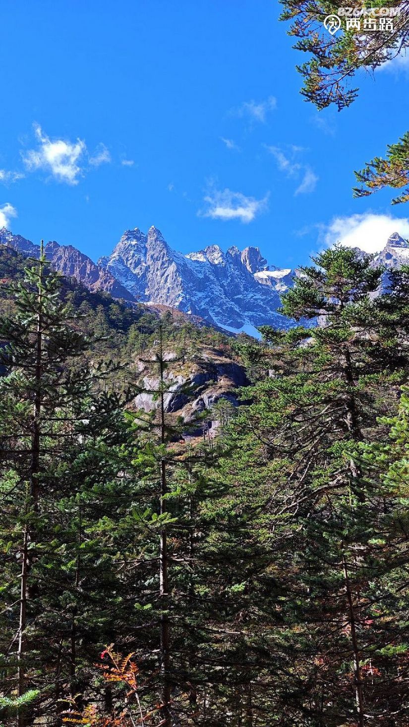 1763348378607 - 徒步登山 穿越攀岩 雪山步道 户外路线 在野 去没有天花板的地方