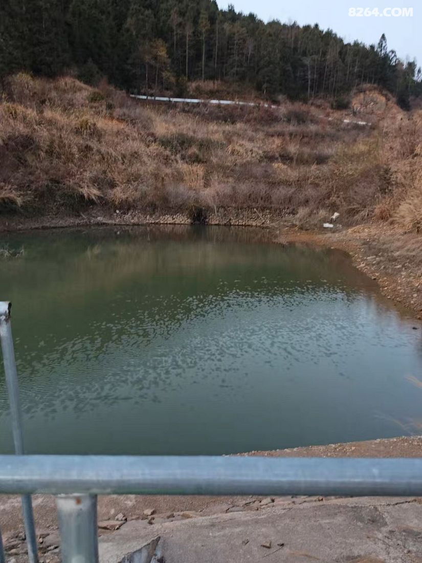 1772431813328 - 徒步登山 穿越攀岩 雪山步道 户外路线 在野 去没有天花板的地方