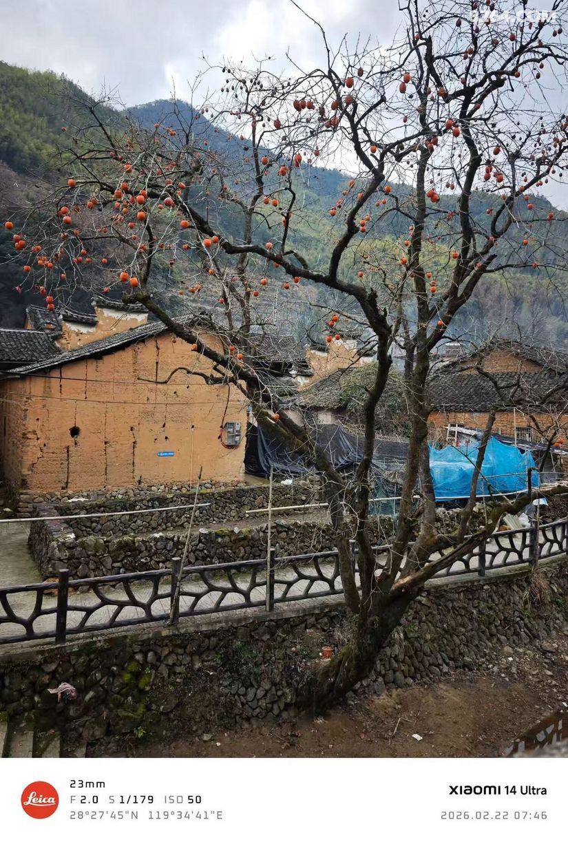 1772431839534 - 徒步登山 穿越攀岩 雪山步道 户外路线 在野 去没有天花板的地方