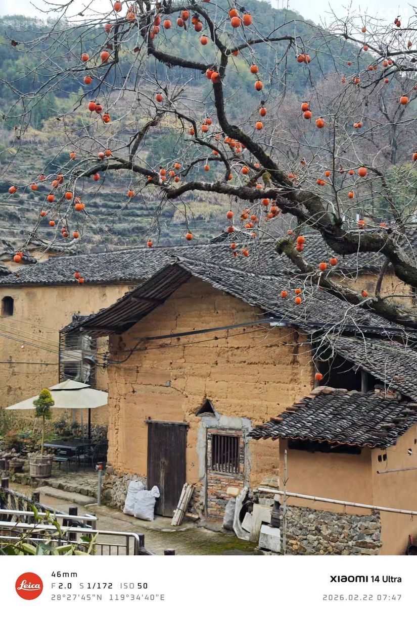 1772431840994 - 徒步登山 穿越攀岩 雪山步道 户外路线 在野 去没有天花板的地方