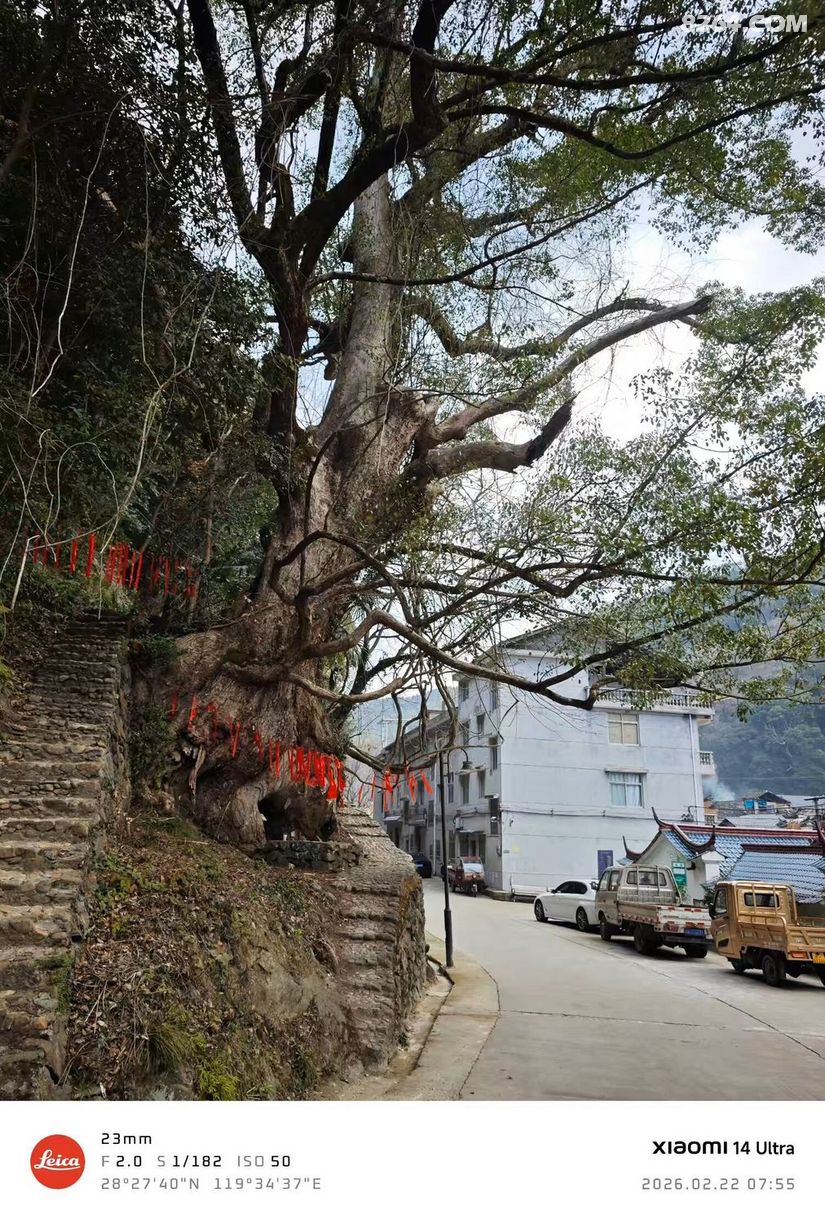 1772431844140 - 徒步登山 穿越攀岩 雪山步道 户外路线 在野 去没有天花板的地方