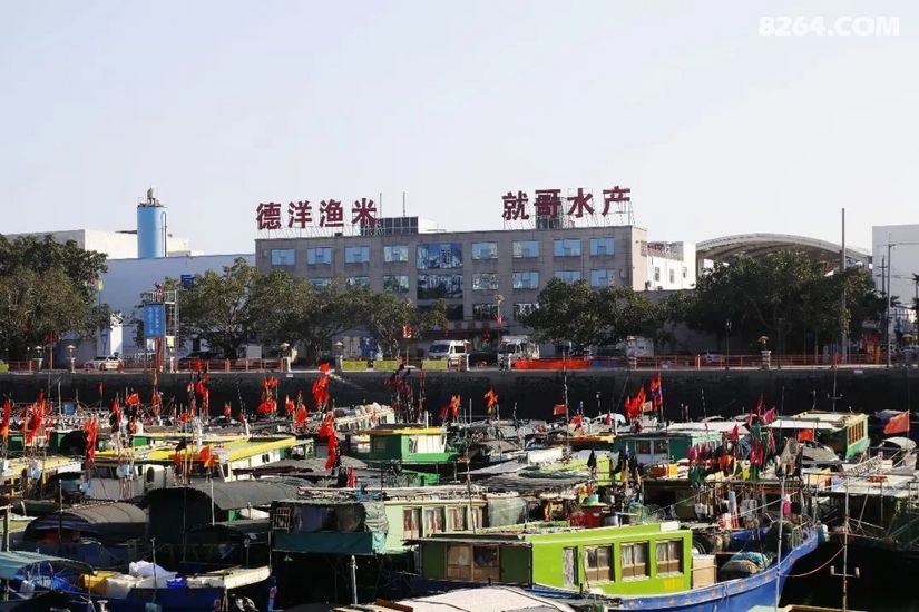 1774848937848 - 旅行杂谈 文化历史 民俗人文 交通贴士 在野 去没有天花板的地方