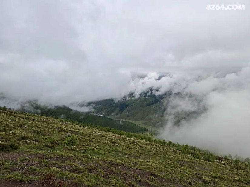 1781589518863 - 旅行故事 游记记录 感悟心得 见闻回忆 在野 去没有天花板的地方