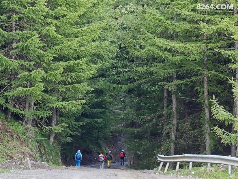 1781589525182 - 旅行故事 游记记录 感悟心得 见闻回忆 在野 去没有天花板的地方