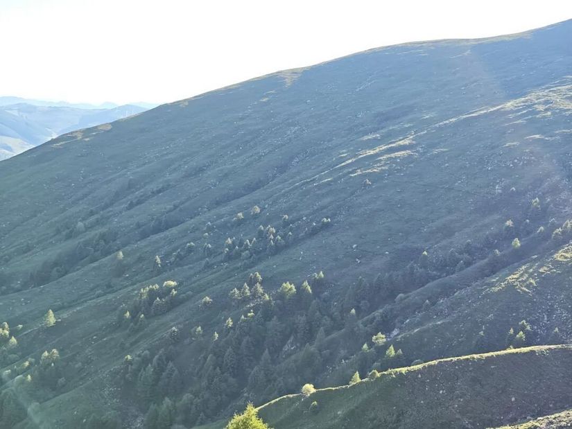 1781589525908 - 旅行故事 游记记录 感悟心得 见闻回忆 在野 去没有天花板的地方