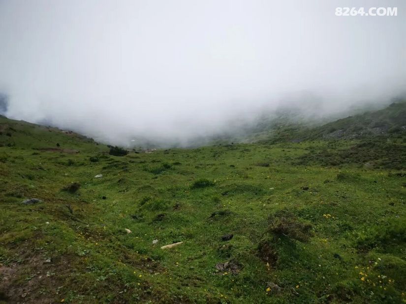 1786417231329 - 徒步登山 穿越攀岩 雪山步道 户外路线 在野 去没有天花板的地方