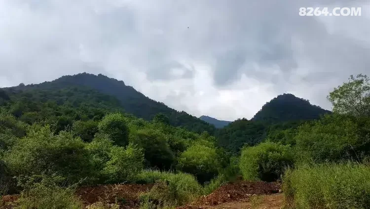 1786777024804 - 徒步登山 穿越攀岩 雪山步道 户外路线 在野 去没有天花板的地方