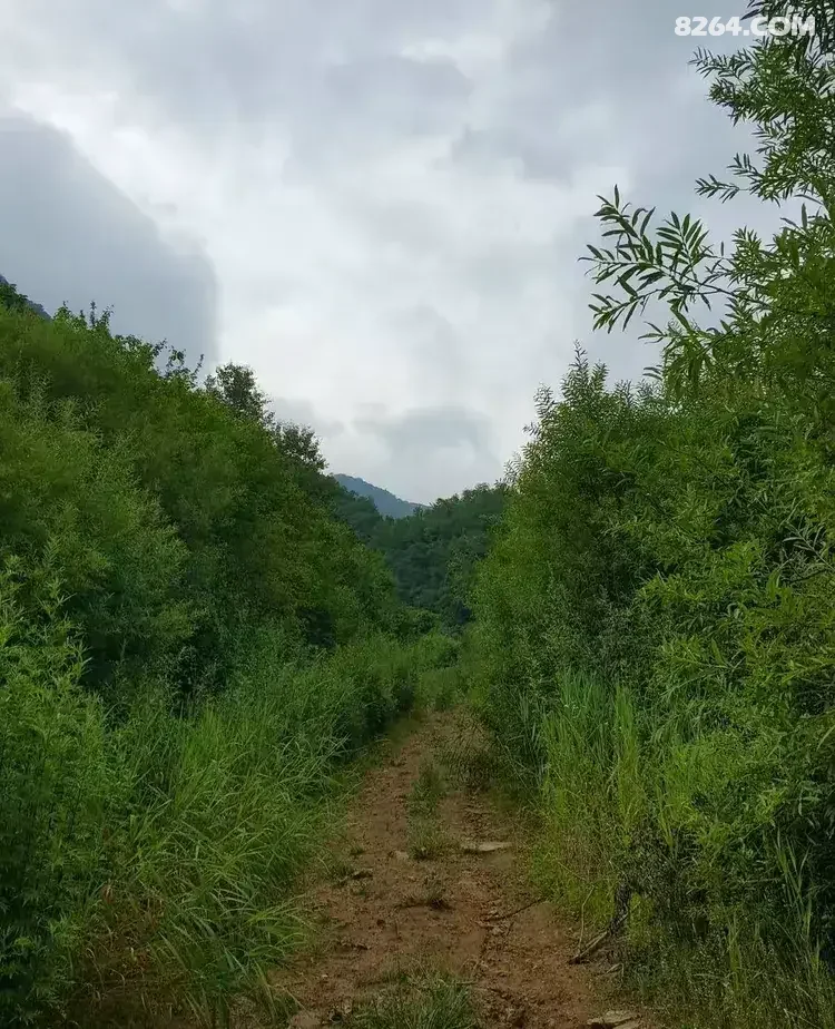 1786777025507 - 徒步登山 穿越攀岩 雪山步道 户外路线 在野 去没有天花板的地方