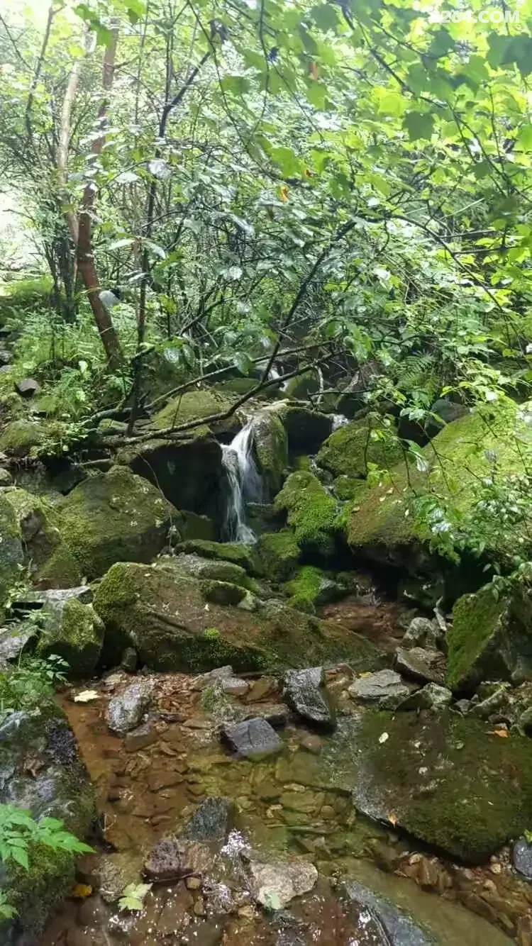 1786777026472 - 徒步登山 穿越攀岩 雪山步道 户外路线 在野 去没有天花板的地方